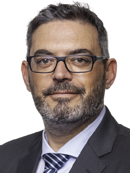 fotografia de FERNANDO PAULO FERREIRA